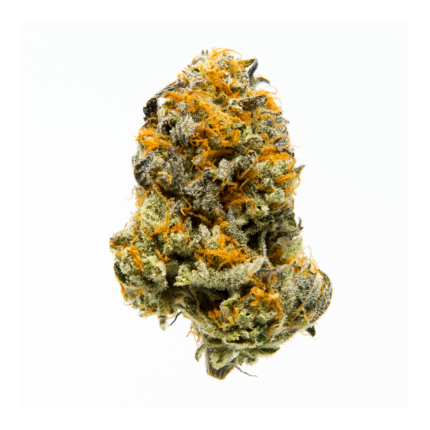 Divine Jelly HHC Flower U.K. | Moonbarguy