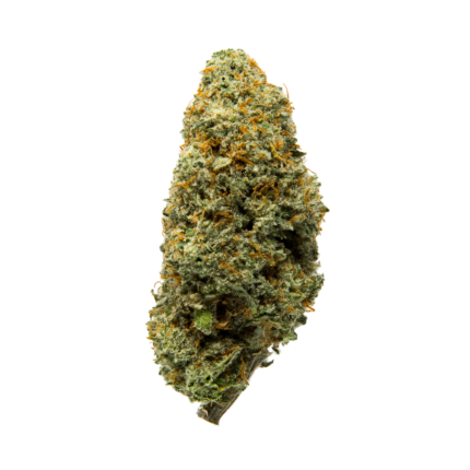 Grape Runtz HHC Flower U.K. | Moonbarguy