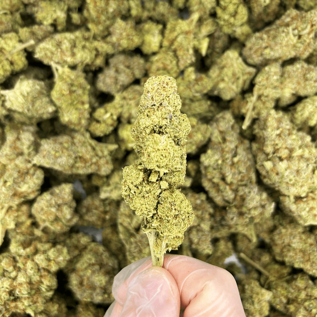 London Pound Cake CBD Flower U.K. | Moonbarguy London Pound Cake CBD Flower U.K. | Moonbarguy