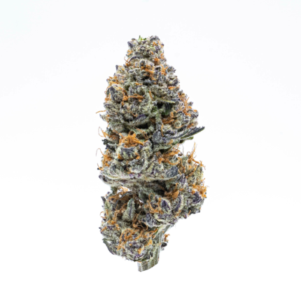 Sunset Sherbet HHC Flower U.K. | Moonbarguy